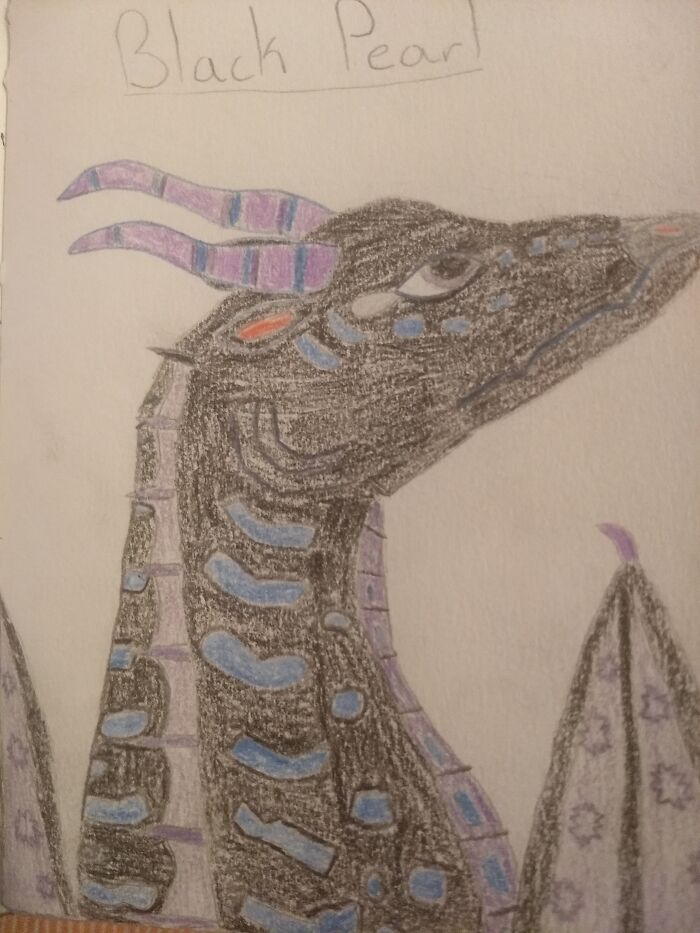 I'm Not Very Good At Drawing, And I Don't Do It Much, But This Is Something I've Done. It's A Dragon I Made Up From The Wof Universe.