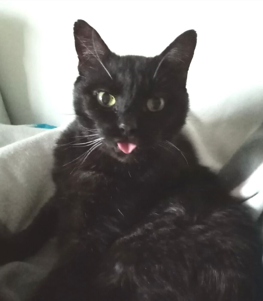Blepping At Its Finest.