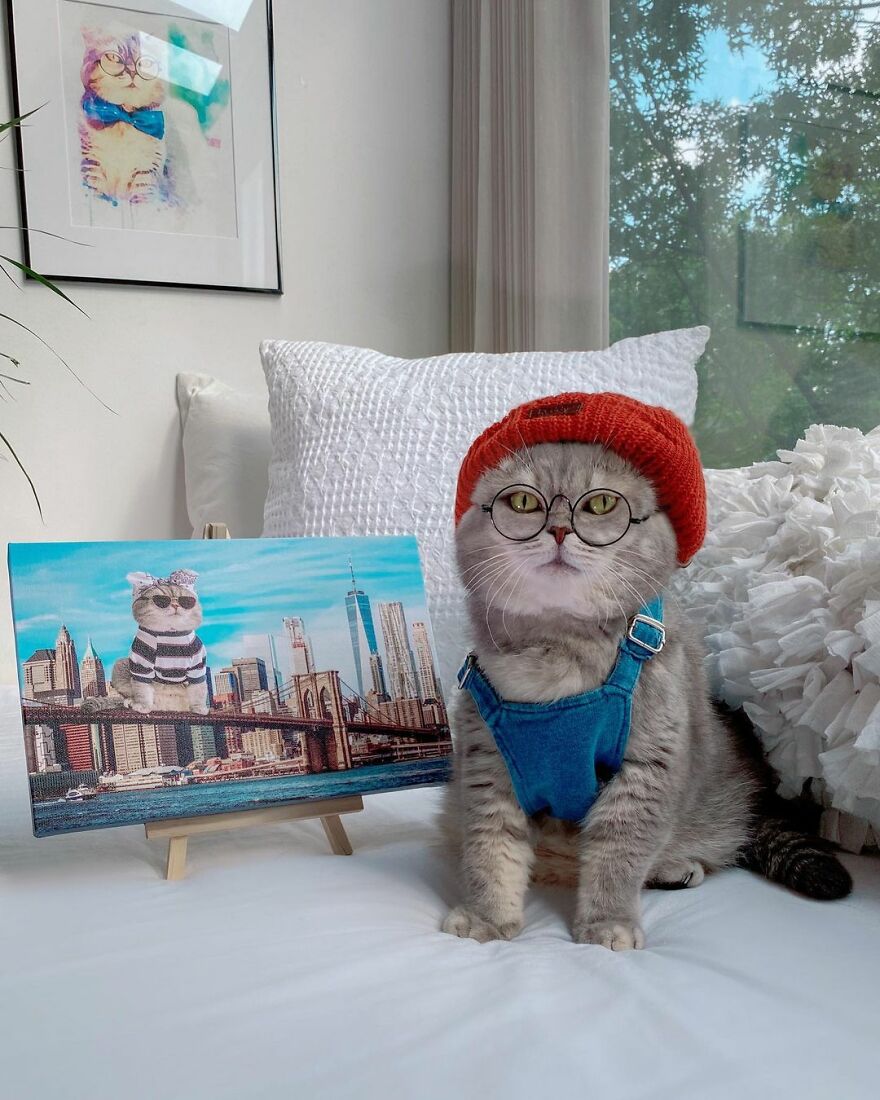 Meet Benson, The Kitten Abandoned By Its Former Owners And Now Adored By 170,000 Followers On Instagram