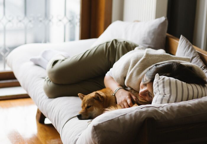 Here's Why You Should let Your Dog Sleep In Your Bed