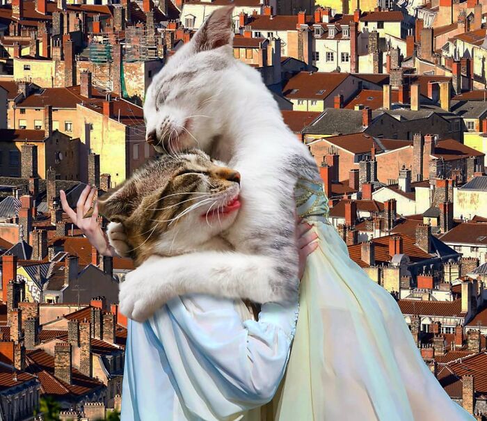 This Artist From Turkey Makes Incredibly Absurd Collages