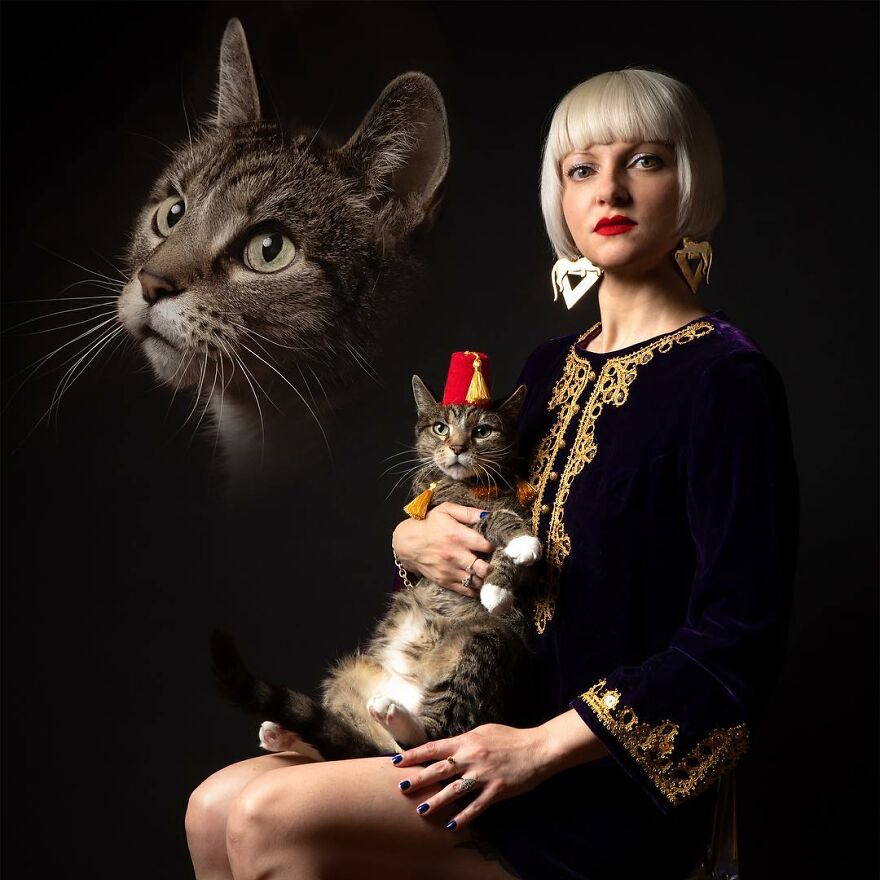 Funny Cat Photos Taken By Portrait Photographer Danielle Spires