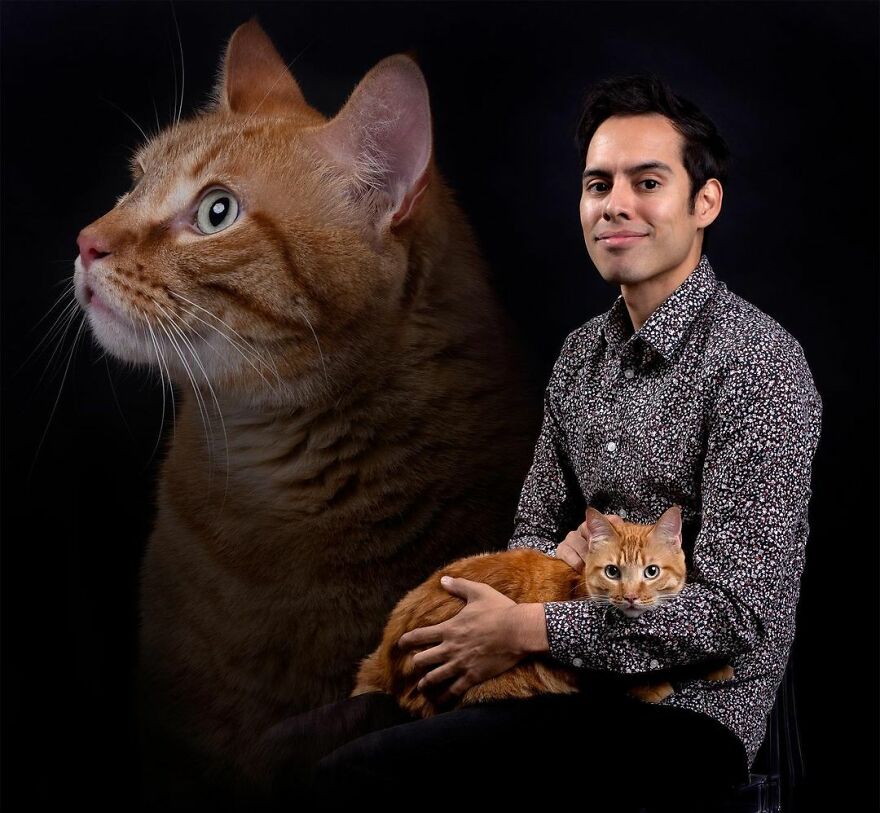 Awkward Family Photos With Cats By Danielle Spires