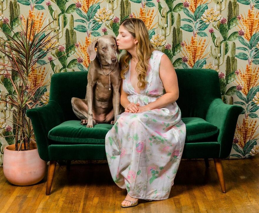 Creative Portrait Photography With Dogs By Danielle Spires