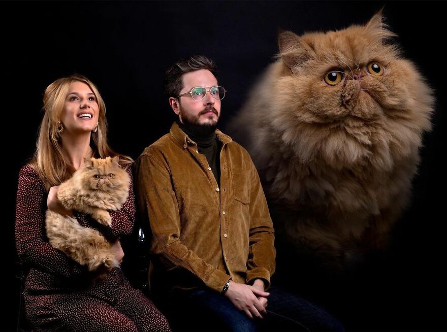 This Photographer Makes Fun And Quirky Portraits Of Its Owners With Their Pets (100 Pics)