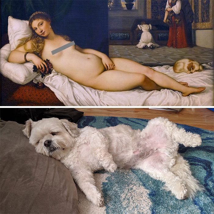 Hanging (All) Out With The Venus Of Urbino