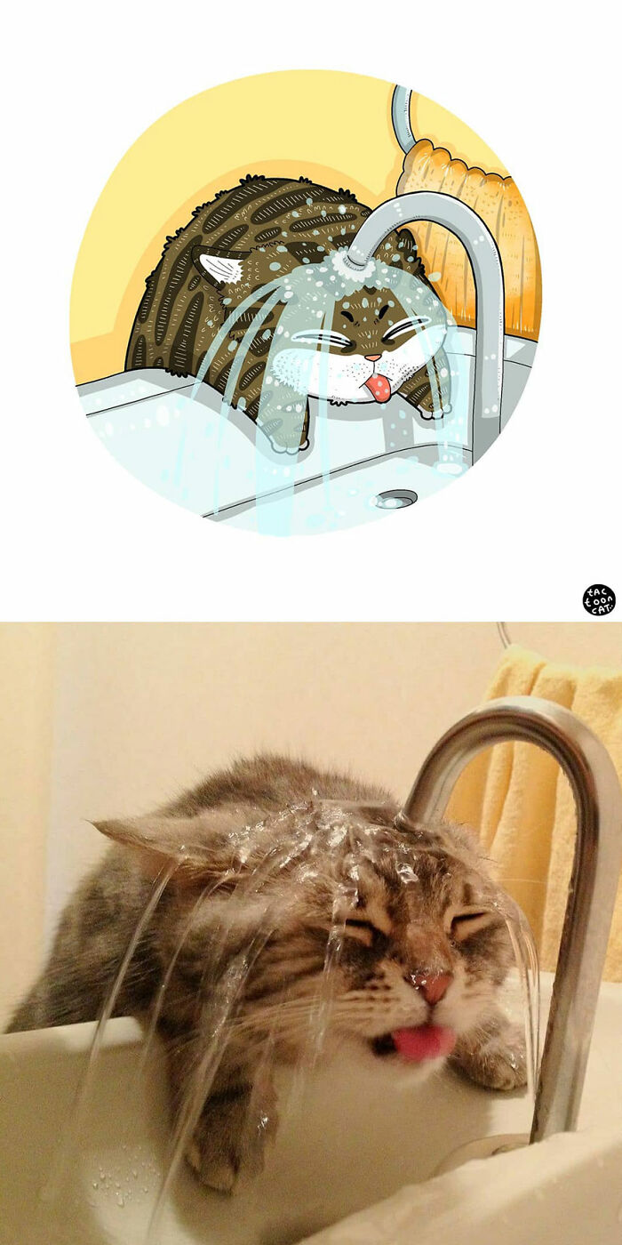 40 Of The Funniest Internet-Famous Cat Pics Get Illustrated By Tactooncat (New Pics)