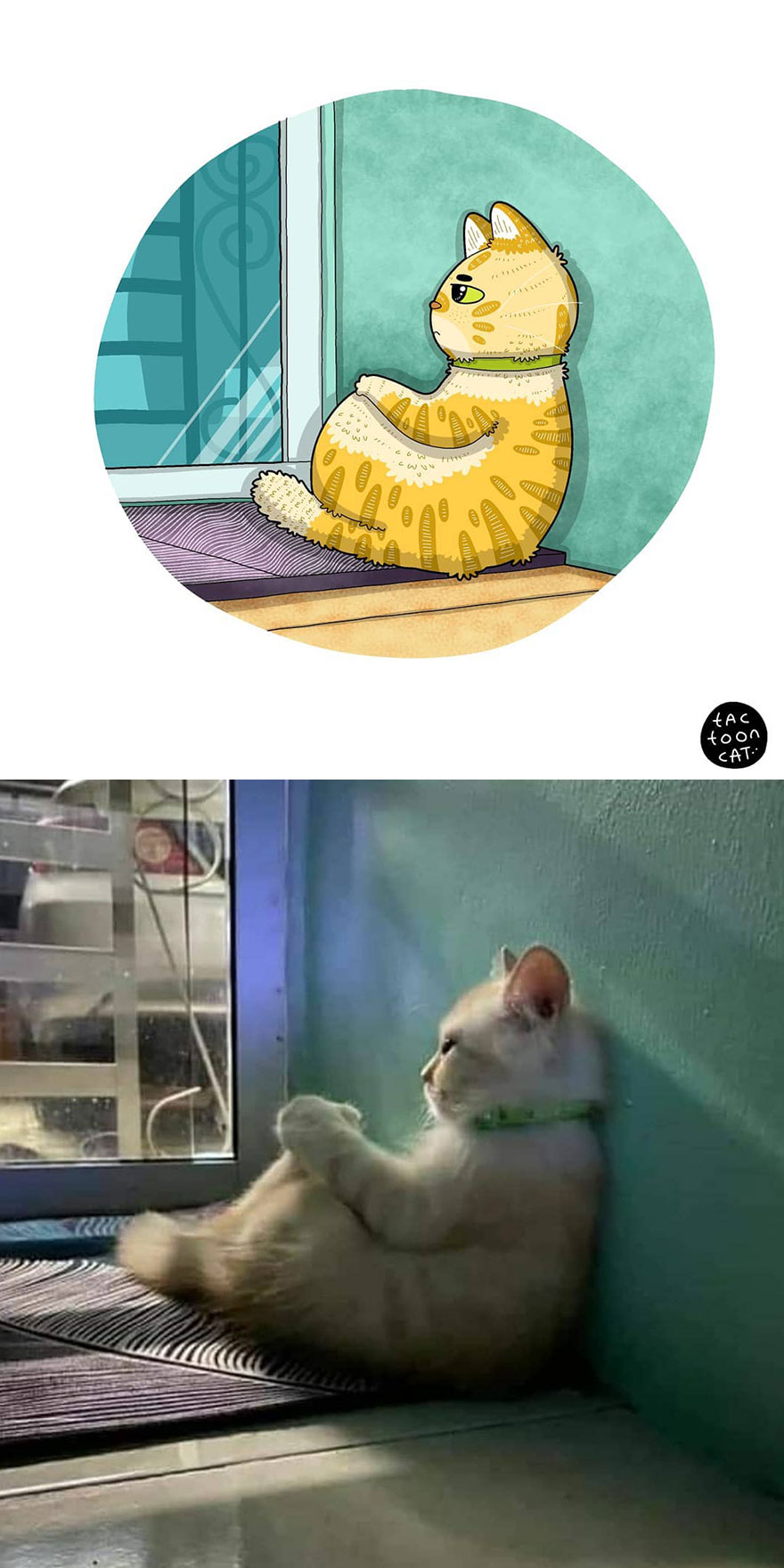 Viral Cat Memes Are Transformed Into Purr-Fect Cat Illustrations (New Pics)