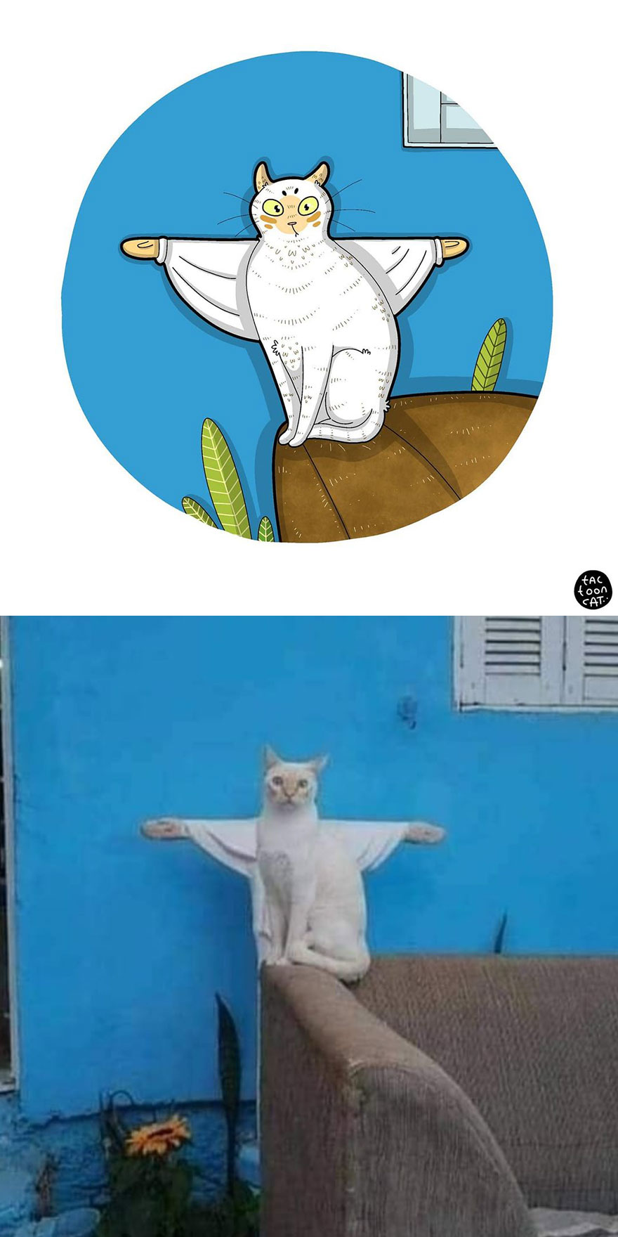 Viral Cat Memes Are Transformed Into Purr-Fect Cat Illustrations (New Pics)