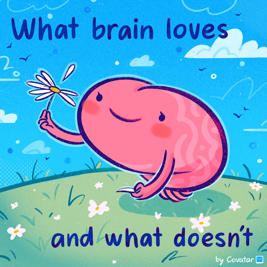 What Brain Loves And What Doesn't?