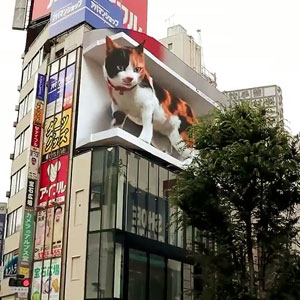 Giant Hyper-Realistic 3D Cat Billboard Appears In Tokyo, Mesmerizes The Passersby