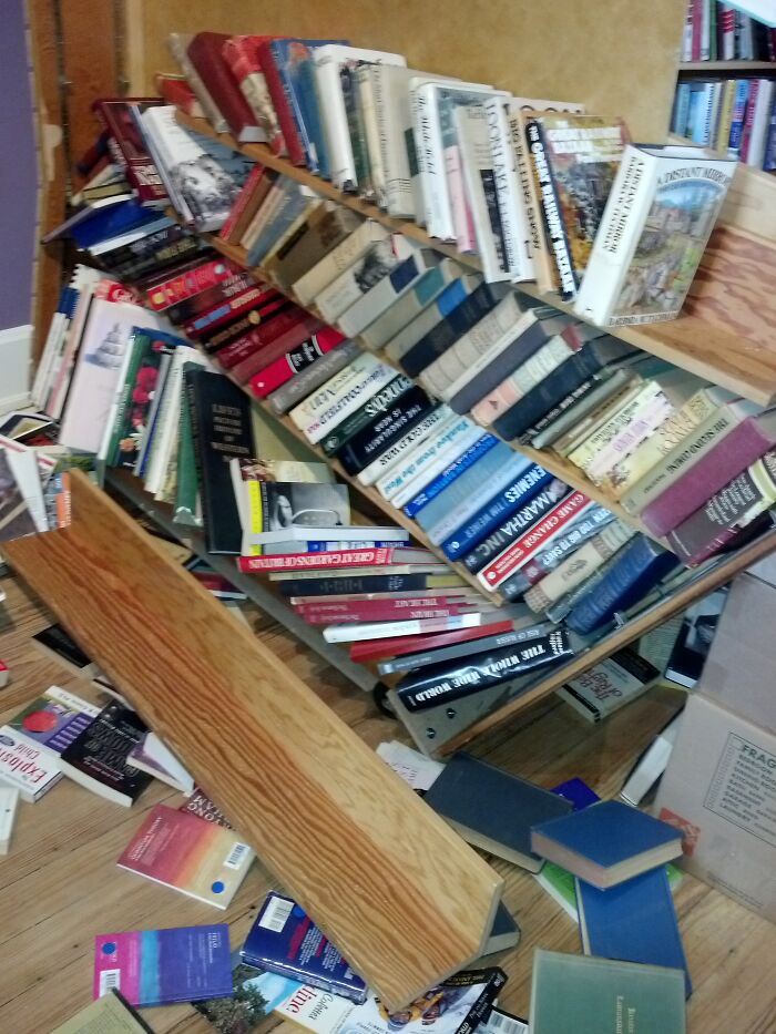 No Books Were Harmed In The Breaking Of This Shelf...