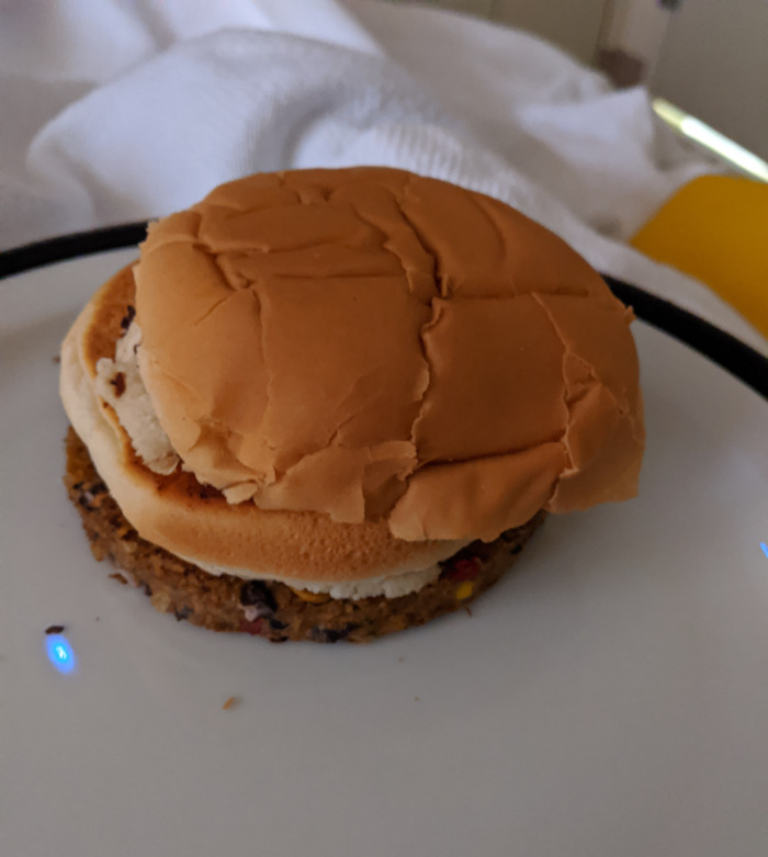 This Veggie Burger Was Served To Me In The Hospital. 10/10 For Presentation