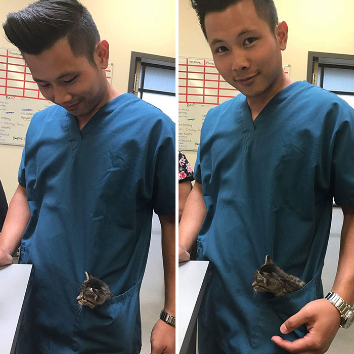 Our Vet Office Got A New Doctor. I'd Say The Kitties Are In Good Hands (And Pockets)
