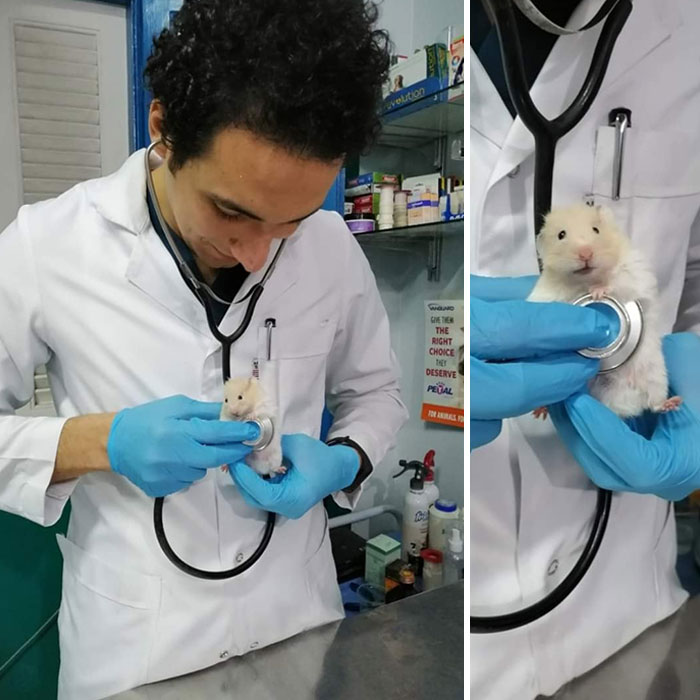 Hammie Going For Checkup