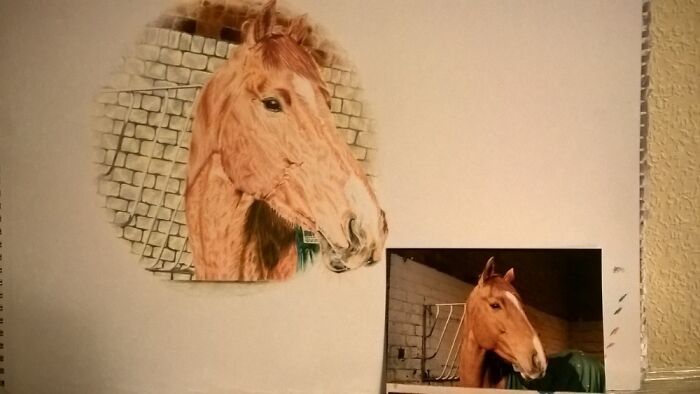 My Mums Horse I Drew. Horses Are My Favourite Animal To Draw