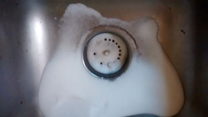 Hace unos años, tiré un paquete de sal entero en el fregadero… muñequito de nieve feliz