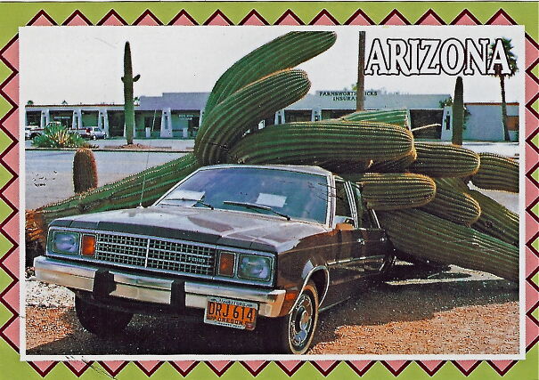 cactus-on-car-60fad384ab1da.jpg