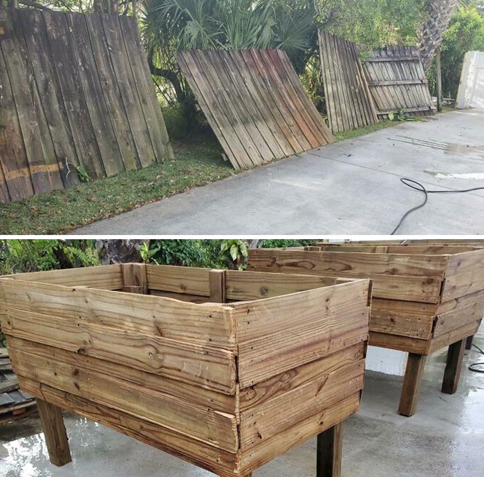 Convencí a mi amigo de no tirar su vieja cerca, y me dejó construirle unas cajas de jardinería. ¿Cómo creen que resultaron?