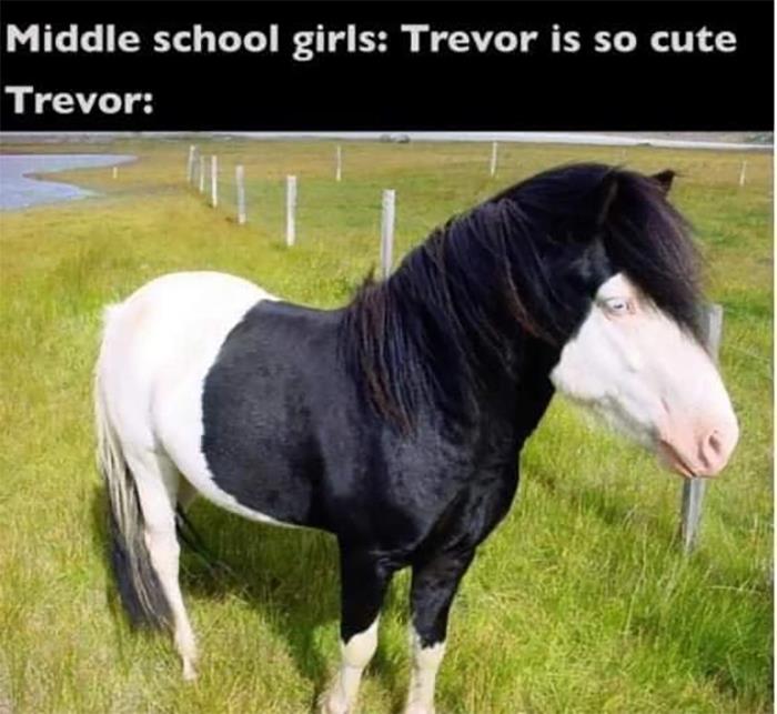 You Gotta Love Trevor, The Emo Pony