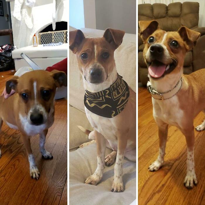 Adoption Update! When We Brought Her Home, 1 Day Later, 1 Week Later