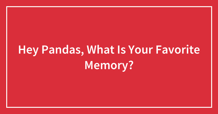 Hey Pandas, What Is Your Favorite Memory? (Closed)