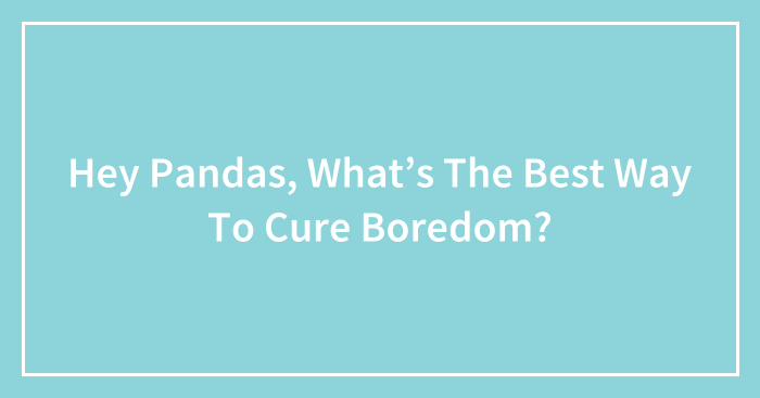 Hey Pandas, What’s The Best Way To Cure Boredom? (Closed)