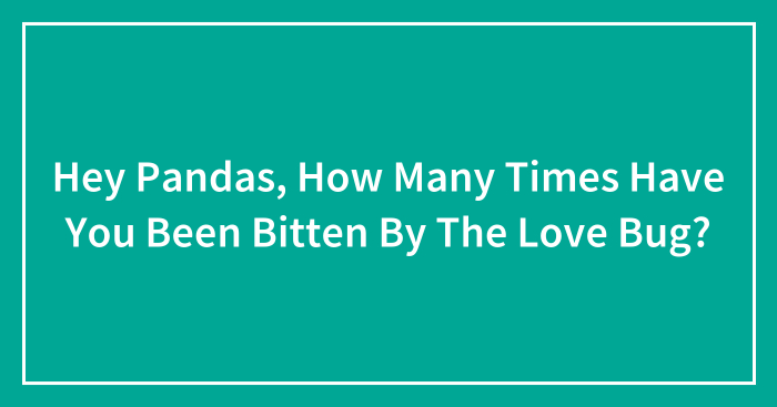 Hey Pandas, How Many Times Have You Been Bitten By The Love Bug? (Closed)