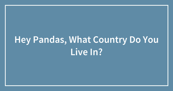 Hey Pandas, What Country Do You Live In? (Closed)