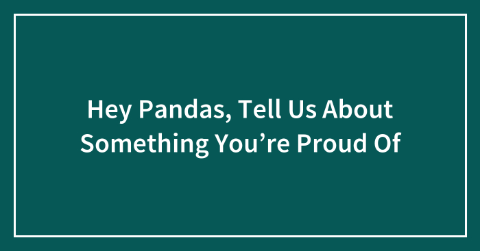 Hey Pandas, Tell Us About Something You’re Proud Of (Closed)