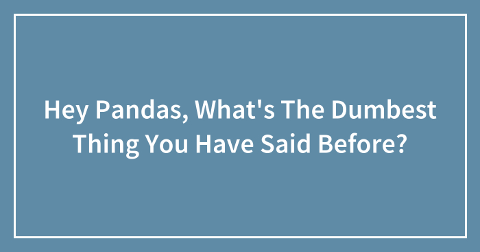 Hey Pandas, What’s The Dumbest Thing You Have Said Before? (Closed)