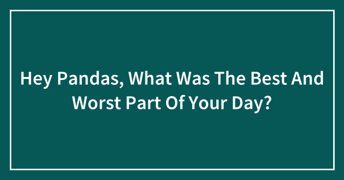 Hey Pandas, What Was The Best And Worst Part Of Your Day? (Closed)