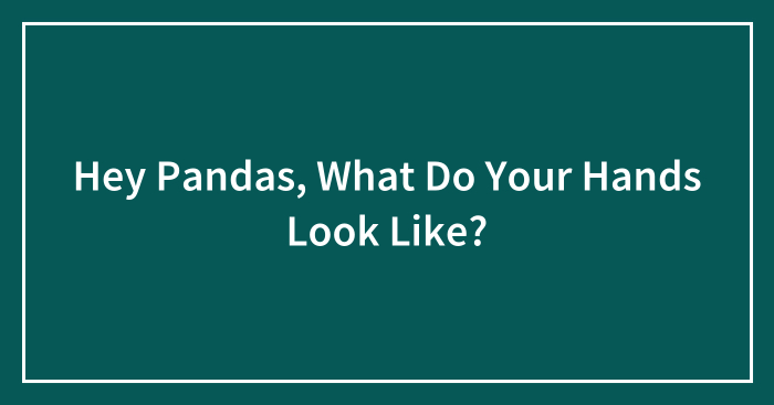 Hey Pandas, What Do Your Hands Look Like? (Closed)