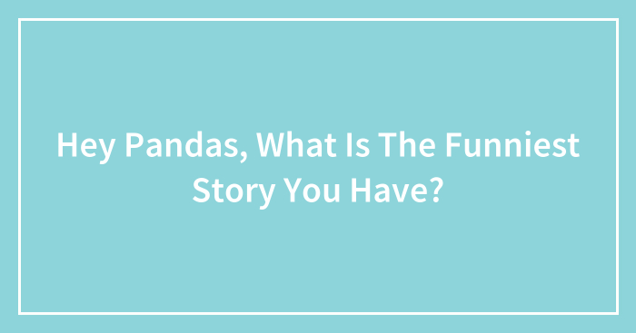 Hey Pandas, What Is The Funniest Story You Have? (Closed)