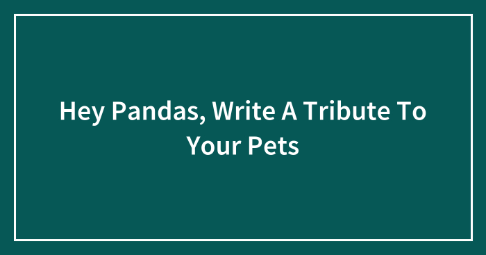 Hey Pandas, Write A Tribute To Your Pets (Closed)