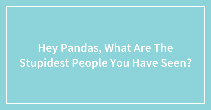 Hey Pandas, What Are The Stupidest People You Have Seen? (Closed)