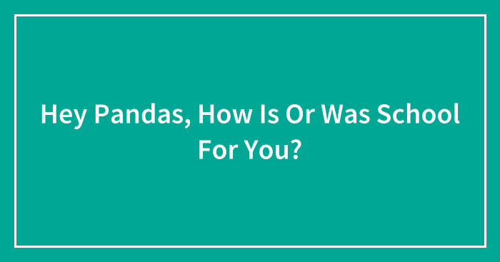 Hey Pandas, How Is Or Was School For You? (Closed)
