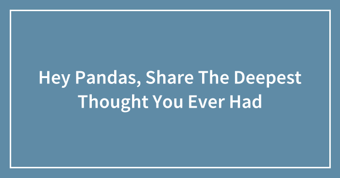 Hey Pandas, Share The Deepest Thought You Ever Had (Closed)