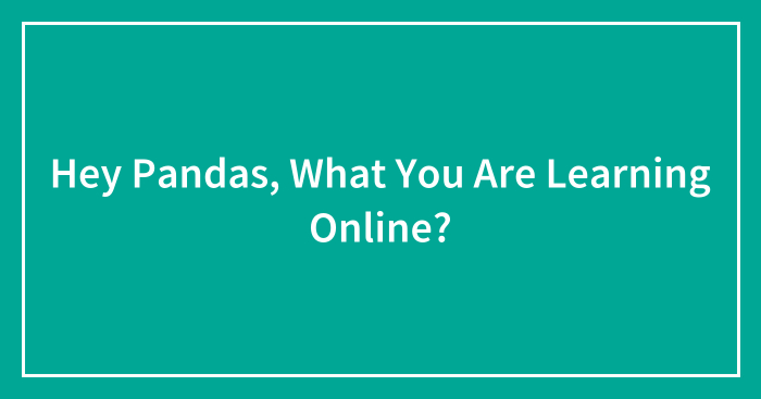 Hey Pandas, What You Are Learning Online? (Closed)
