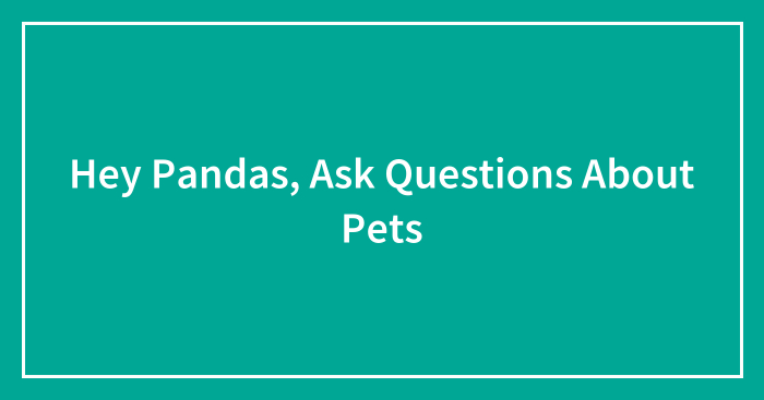 Hey Pandas, Ask Questions About Pets (Closed)