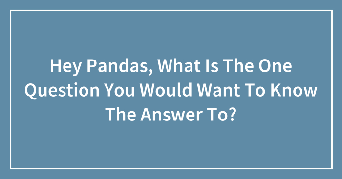 Hey Pandas, What Is The One Question You Would Want To Know The Answer To? (Closed)