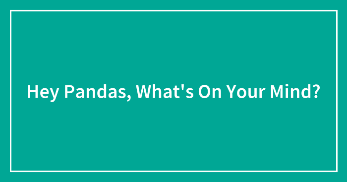 Hey Pandas, What’s On Your Mind? (Closed)