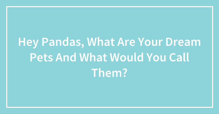 Hey Pandas, What Are Your Dream Pets And What Would You Call Them? (Closed)