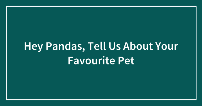 Hey Pandas, Tell Us About Your Favourite Pet (Closed)