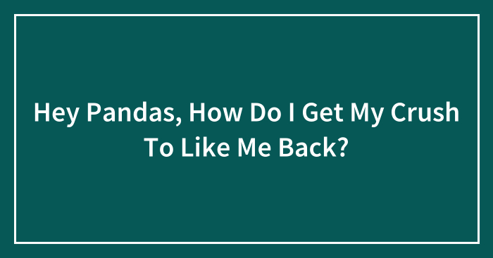 Hey Pandas, How Do I Get My Crush To Like Me Back? (Closed)