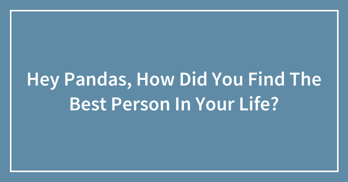Hey Pandas, How Did You Find The Best Person In Your Life?