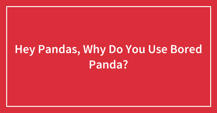 Hey Pandas, Why Do You Use Bored Panda? (Closed)