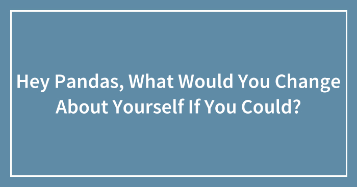 Hey Pandas, What Would You Change About Yourself If You Could? (Closed)