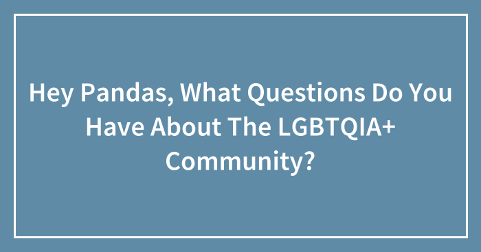 Hey Pandas, What Questions Do You Have About The LGBTQIA+ Community? (Closed)