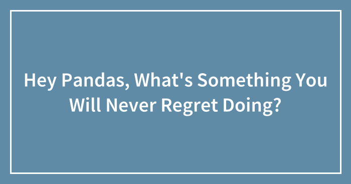 Hey Pandas, What’s Something You Will Never Regret Doing? (Closed)